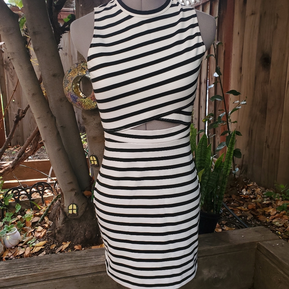 Express Dress Size 2 - Picture 6 of 6